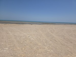 20250624_113805.jpg